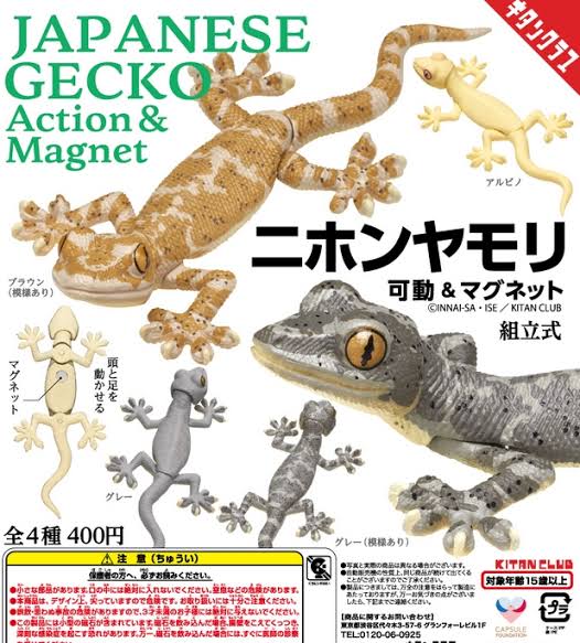最近保存した画像を晒すスレ ->画像>158枚 