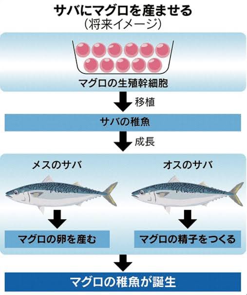 ŋߕۑ摜NX ->摜>155 